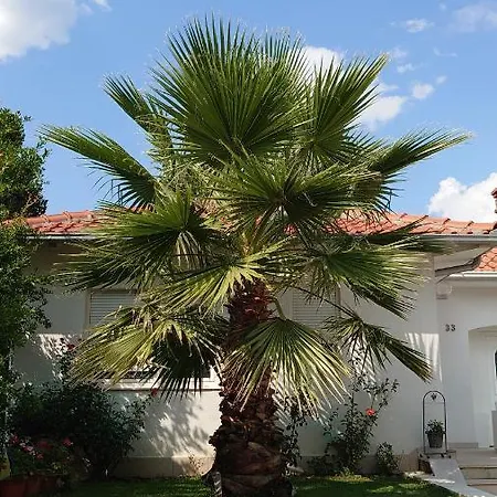 Appartement Tulipan - With Free Private Parking Garage *