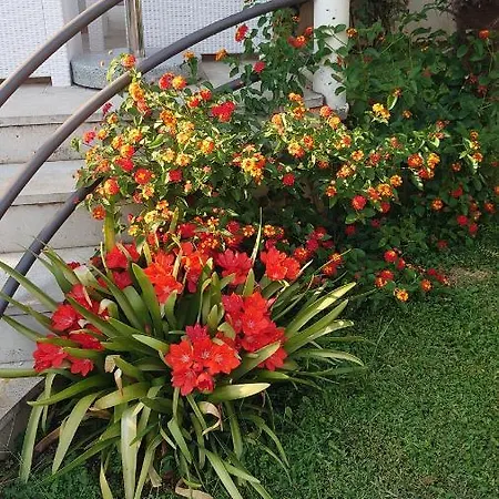 Tulipan - With Free Private Parking Garage Appartement *