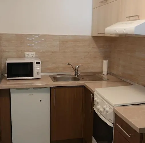 公寓 Tulipan - With Free Private Parking Garage