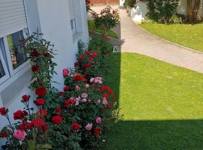 Tulipan - With Free Private Parking Garage 莫斯塔尔